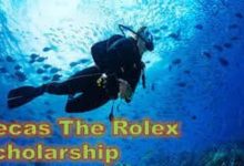 Becas The Rolex Scholarship
