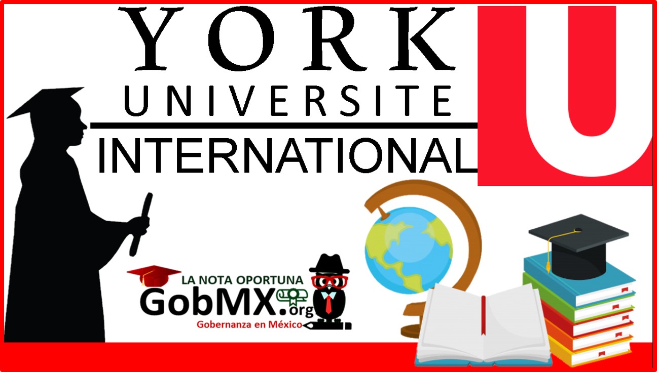 Becas York University International