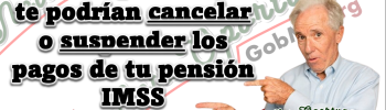 Pensión IMSS: Motivos por los que podrías perder tu pensión 