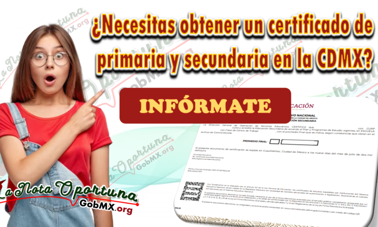 ¿Necesitas obtener un certificado de primaria y secundaria en la CDMX?