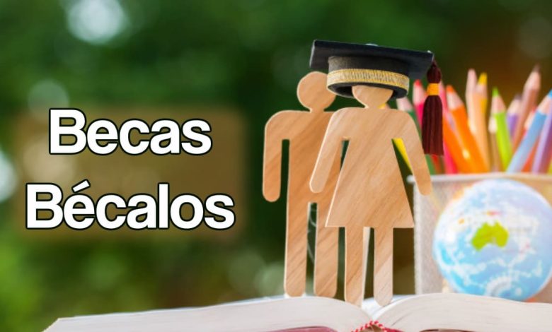 descubre como funcionan las Becas Bécalos