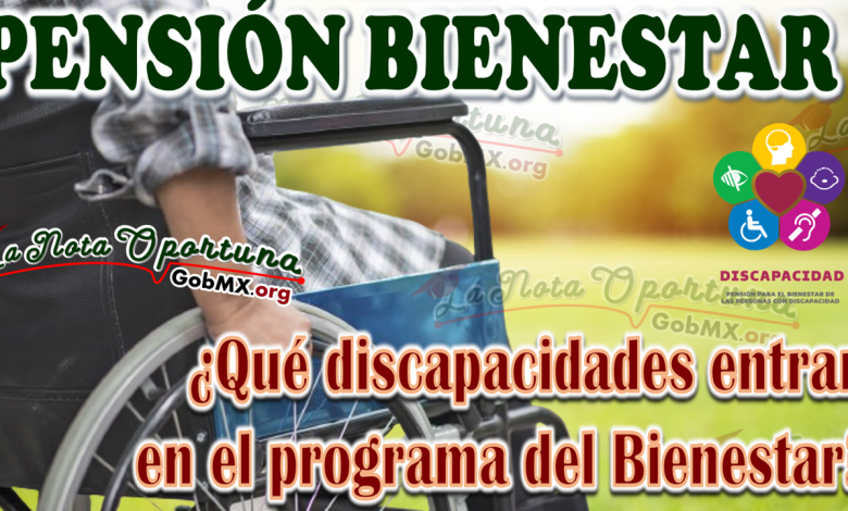 IMPORTANTE ¿Qué discapacidades entran en el programa del Bienestar?