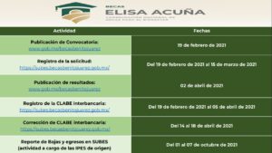 ▷ Fechas de registro para la Beca Federal para Apoyo a la Manutención 2021 » 2021 GobMX.org 🥇 fechas para la Beca Federal para Apoyo a la Manutención 2021