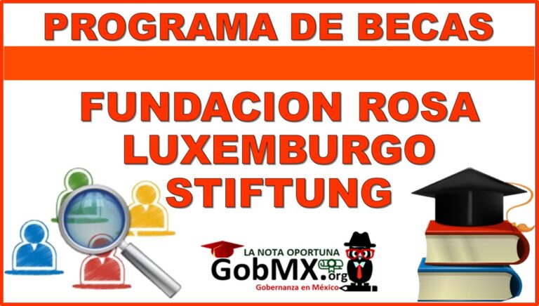 Programa de Becas Rosa Luxemburgo Stiftung de Alemania 2021-2022