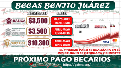Próximo pago de las Becas Benito Juárez ¡Atentos alumnos beneficiarios!